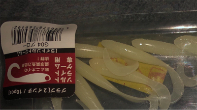 カマス釣れてます