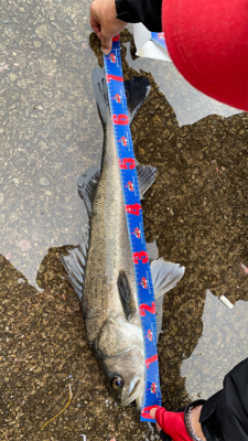 令和2年初釣り結果