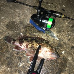 年始はアジメバガシリング☆GUNNING-STYLE