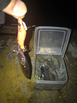 ポツリ…ポツリ…で何とかヒイカ12杯σ(^_^;)