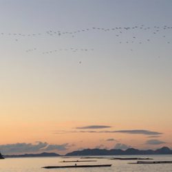 なんとか釣れたよ！