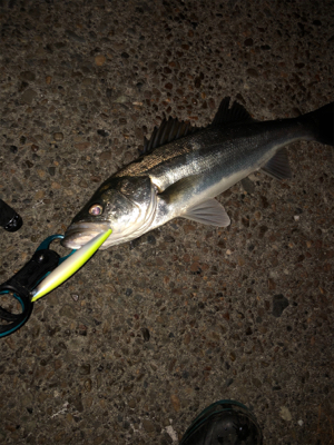 ジョイクロ不発