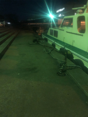 久しぶりのアジング