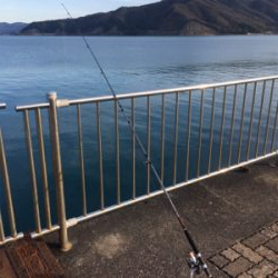 アジング、ショアジギング