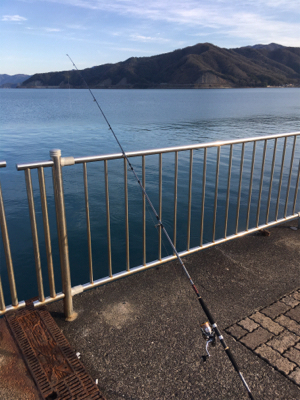 アジング、ショアジギング