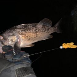 （´-`）.｡oO(冬は汁系ワームだねぇ