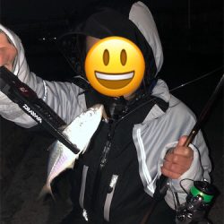 明石アジング☆初心者でも釣れた!