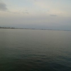 2020年　初障泥！