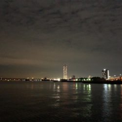 中アジの刺身が食べたくて