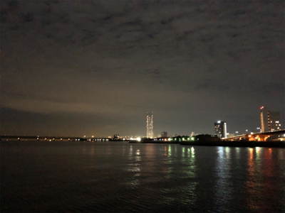 中アジの刺身が食べたくて