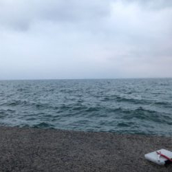 雨の中ライトショアジギング!