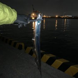 小気味良い当たりがいいんです。