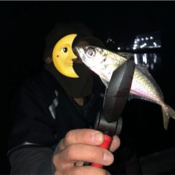 早朝ナイトゲーム☆GUNNING-STYLE