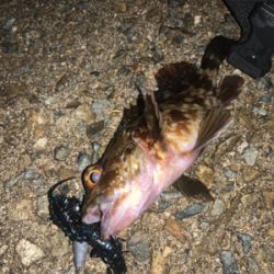 フロートのみに反応