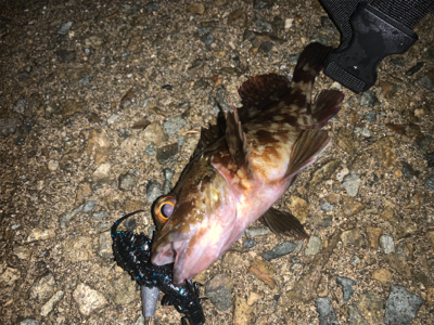 フロートのみに反応