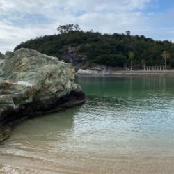 エレベーター釣り！