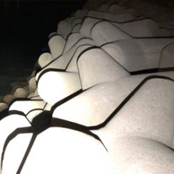 ロックフィッシュ5