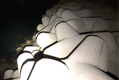 ロックフィッシュ5