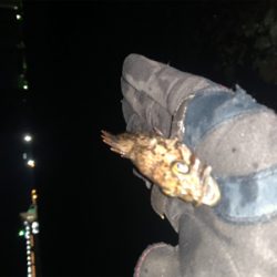 小潮でひと段落！？