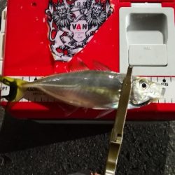 アジング練習 100