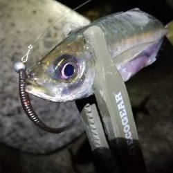 ナイトメバリング