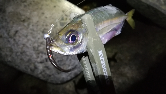 ナイトメバリング