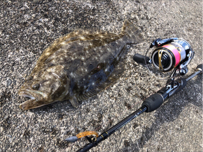 ライトゲーム！