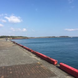 2020年初宮崎港 チヌ釣り