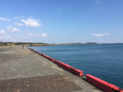 2020年初宮崎港 チヌ釣り