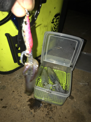 寒い中でのヒイカ釣り…渋すぎ(＞＜)