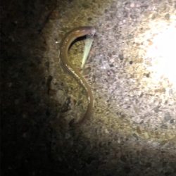 こんな事って⁈