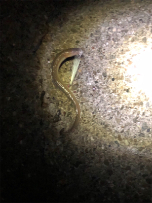 こんな事って⁈