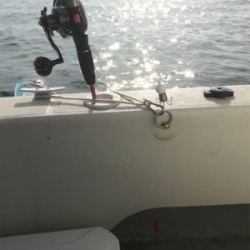 今年初のイイダコ