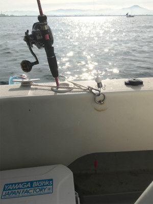 今年初のイイダコ