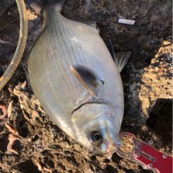 イズスミ狙い！