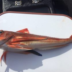 久しぶりのカヤックフィッシング！