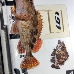 三目ライトゲーム