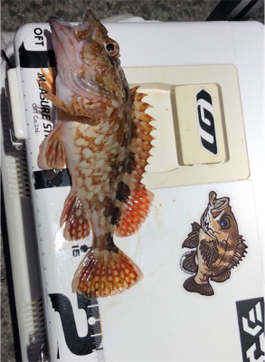 三目ライトゲーム