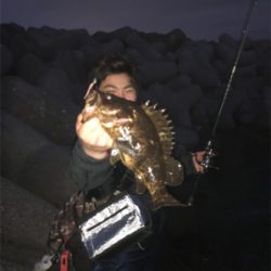 モンスタータケノコ