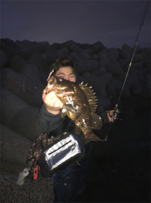 モンスタータケノコ