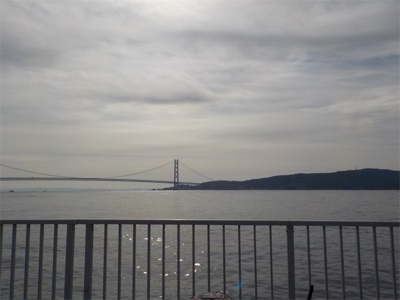 フカセでメバル・グレ