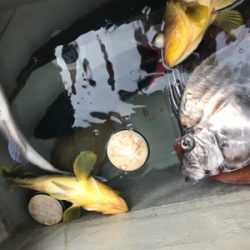 鯛ラバとスロージギング