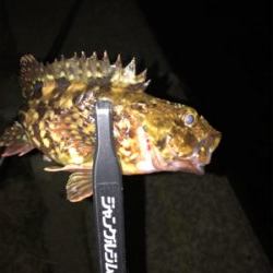 メバルを求めて⑤