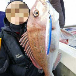 オフショアブリ