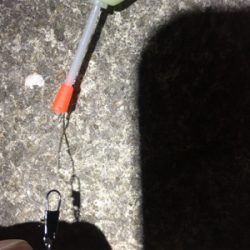 ゼログラヘッド＋シャローフリークプチ