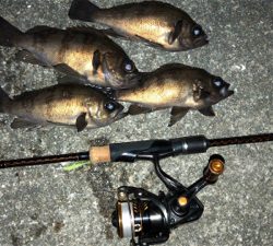 渋かったメバリング