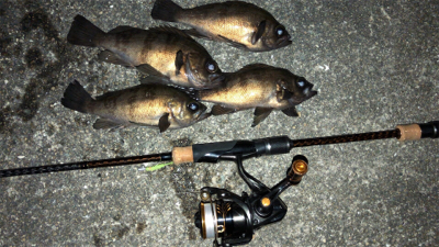 渋かったメバリング