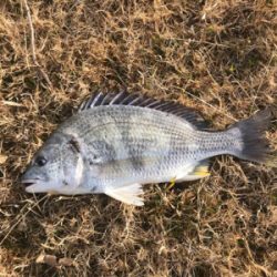 武庫川チニング