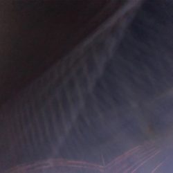 雨の大蔵メバリング