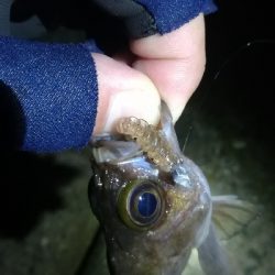 ナイトメバリング